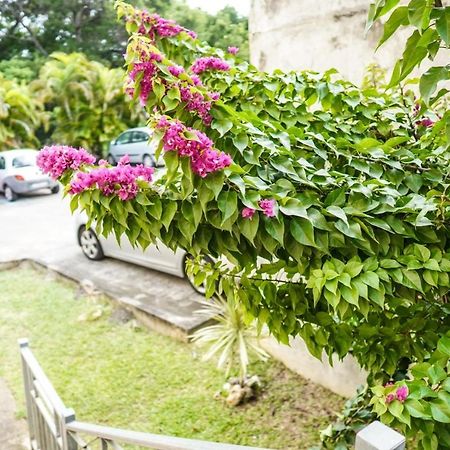 Color Garden - Studio Martinique Сент-Анн Экстерьер фото