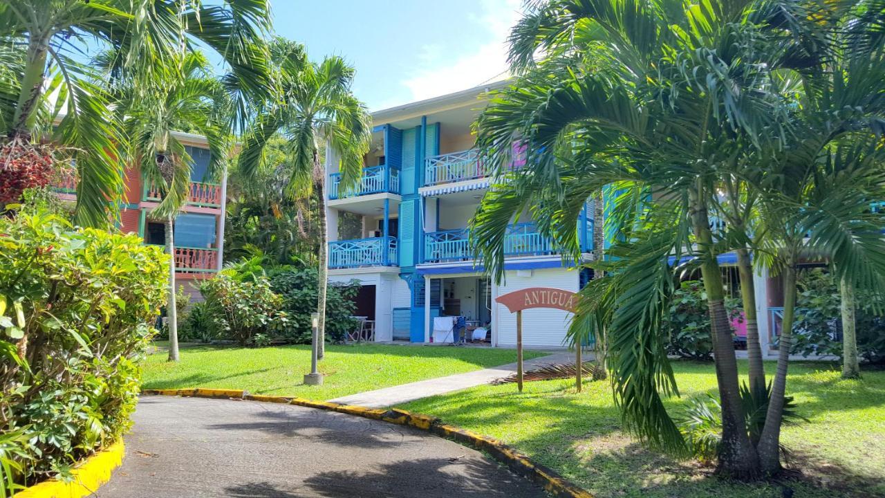 Color Garden - Studio Martinique Сент-Анн Экстерьер фото