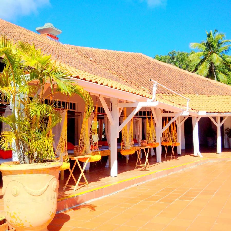 Color Garden - Studio Martinique Сент-Анн Экстерьер фото