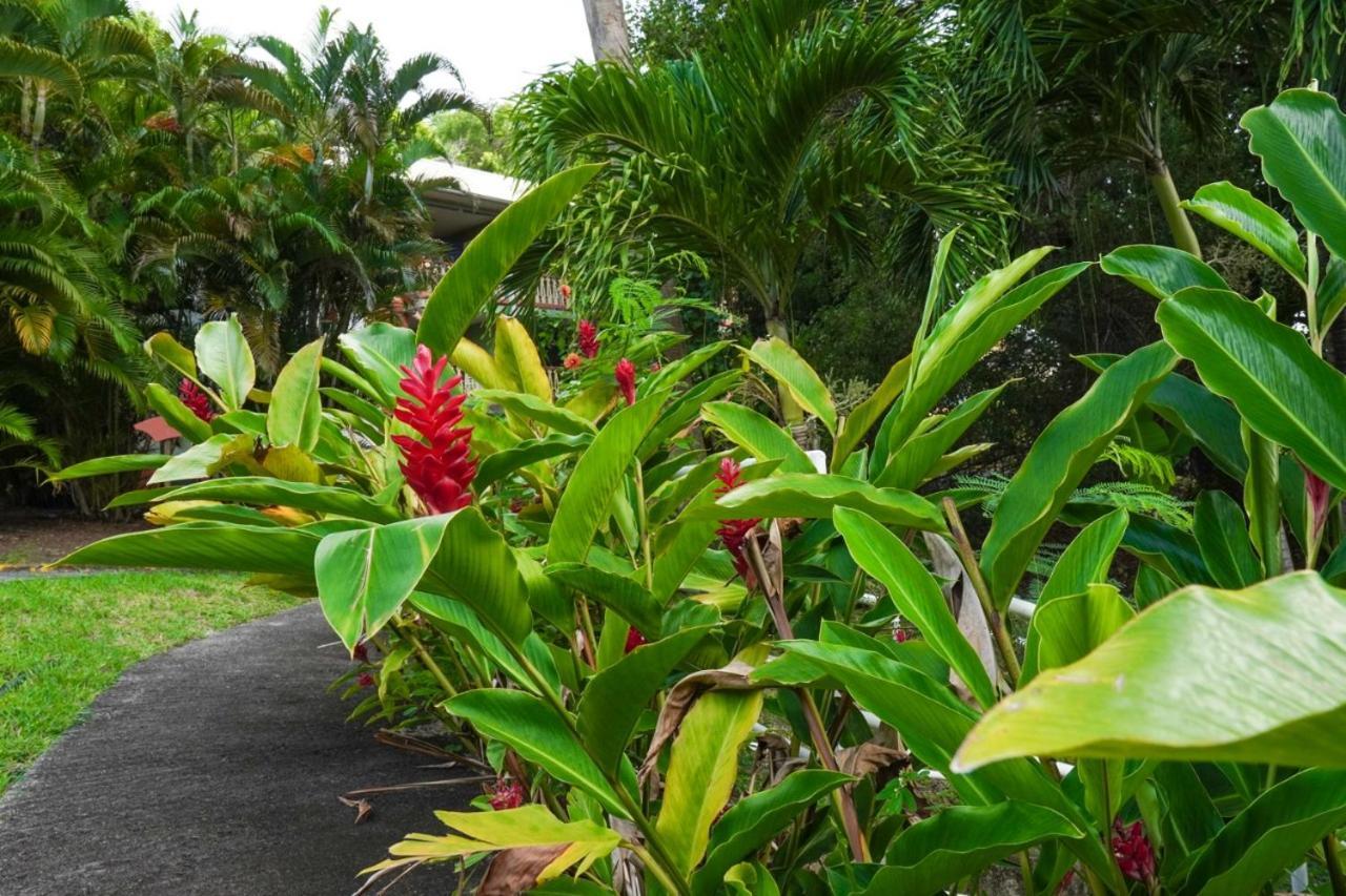 Color Garden - Studio Martinique Сент-Анн Экстерьер фото